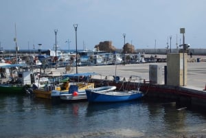 Limassol: Privat tur til Paphos