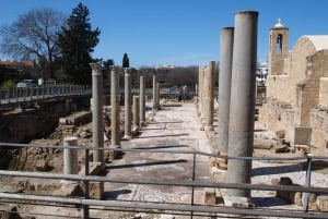 Limassol: Privat tur til Paphos