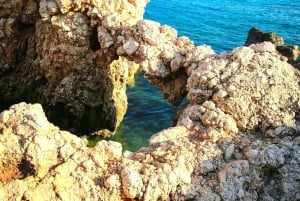 Limassol: Privat tur til Paphos