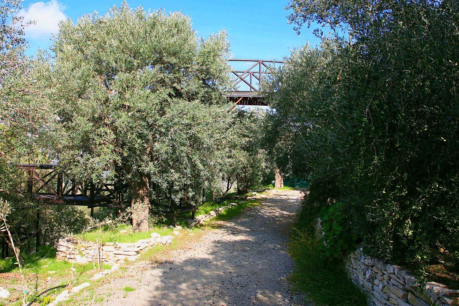 Limassol: Landausflug Olivenfarm, Kunsthandwerk & Alt-Limassol