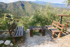 Limassol: Landausflug Olivenfarm, Kunsthandwerk & Alt-Limassol