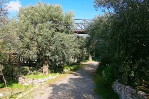 Limassol: excursión en tierra, aceite de oliva, artesanía y vistas de la costa