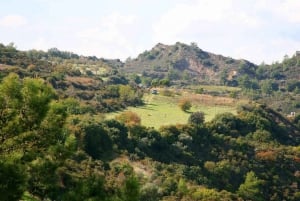 Limassol: excursión en tierra, aceite de oliva, artesanía y vistas de la costa