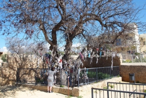 Limassol: excursão em terra a Paphos, do passado ao presente