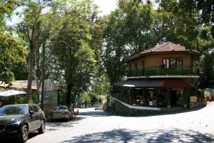 Limassol: excursión desde la costa a los pueblos de Troodos y a una bodega