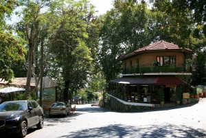 リマソール：トロodos村とワイナリーへの岸辺ツアー