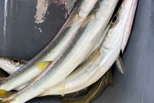 Limassol: snorkeltocht in Limassol