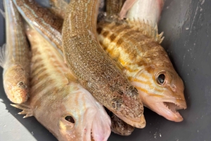 Limassol: snorkeltocht in Limassol