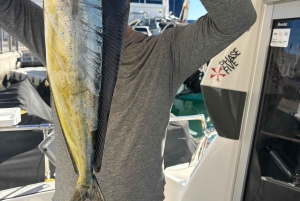 Limassol: snorkeltocht in Limassol