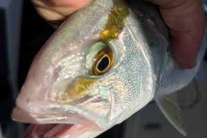 Limassol: snorkeltocht in Limassol