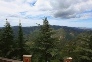 Limassol: Troodos, Kykkos Monastery, Omodos and Winery Tour