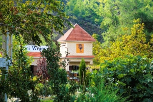 Limassol: Troodos, klasztor Kykkos, Omodos i wycieczka do winnicy