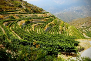 Limassol: Troodos Mountain Wine Tour with a Local