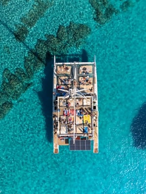 Medcruises.cy - Med2 Catamaran Leisure Cruises Ayia Napa / Protaras