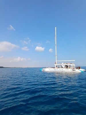 Medcruises.cy - Med2 Catamaran Leisure Cruises Ayia Napa / Protaras