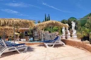 Myths, Waves & Wine: Cyprus in a Day