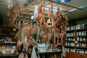 Myths, Waves & Wine: Cyprus in a Day