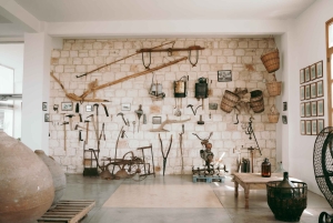 Myths, Waves & Wine: Cyprus in a Day