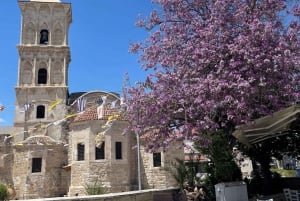 Nicosia and Larnaka Tour from Ayia Napa/Protaras/Larnaka
