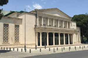 NICOSIA Excursión de un día en autobús con guía francófono.