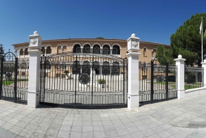 NICOSIA Excursión de un día en autobús con guía francófono.