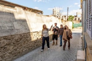 Nicósia: Tour guiado pela Linha Verde e Zona Tampão