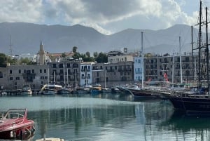 Nicosia e Kerynia in rumeno