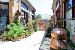 Nicosia: Last Divided City, Tour combining South & North