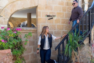 Nicosia: Last Divided City, Tour combining South & North