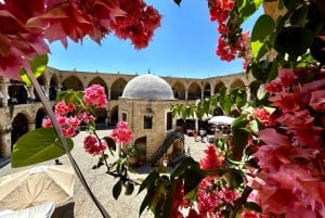 Nicosia, tour privado, casco antiguo griego y turco