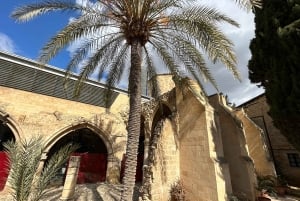 Nicosia, tour privado, casco antiguo griego y turco