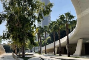 ニコシア地元ガイドと市内プライベートウォーキングツアー