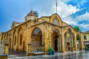 Nicosia: Tour with Private Guide