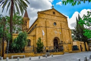Nicosia: Tour con Guida Privata