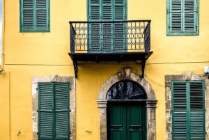 Nicosia: Tour con Guida Privata