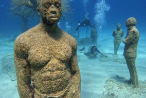 Cours d'eau libre Plongée sous-marine