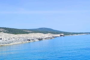 パフォス、ブルーラグーン、ラッチ、日帰りツアー、バス、ボート、ウォータースライダー。