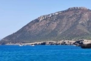 パフォス、ブルーラグーン、ラッチ、日帰りツアー、バス、ボート、ウォータースライダー。