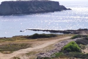 パフォス、ブルーラグーン、ラッチ、日帰りツアー、バス、ボート、ウォータースライダー。