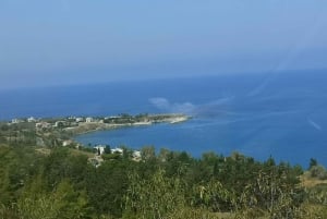 パフォス、ブルーラグーン、ラッチ、日帰りツアー、バス、ボート、ウォータースライダー。