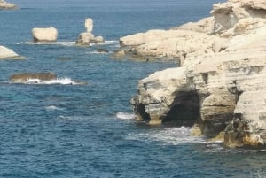 パフォス、ブルーラグーン、ラッチ、日帰りツアー、バス、ボート、ウォータースライダー。