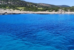 パフォス、ブルーラグーン、ラッチ、日帰りツアー、バス、ボート、ウォータースライダー。