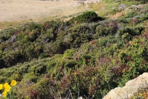 パフォス、ブルーラグーン、ラッチ、日帰りツアー、バス、ボート、ウォータースライダー。