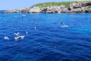 パフォス、ブルーラグーン、ラッチ、日帰りツアー、バス、ボート、ウォータースライダー。