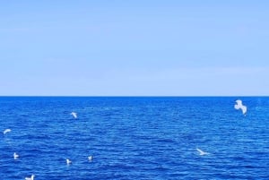 パフォス、ブルーラグーン、ラッチ、日帰りツアー、バス、ボート、ウォータースライダー。