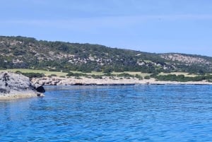 パフォス、ブルーラグーン、ラッチ、日帰りツアー、バス、ボート、ウォータースライダー。