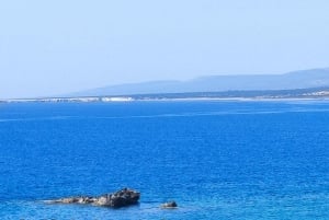 パフォス、ブルーラグーン、ラッチ、日帰りツアー、バス、ボート、ウォータースライダー。