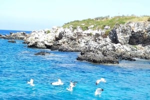 パフォス、ブルーラグーン、ラッチ、日帰りツアー、バス、ボート、ウォータースライダー。