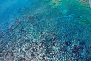 パフォス、ブルーラグーン、ラッチ、日帰りツアー、バス、ボート、ウォータースライダー。