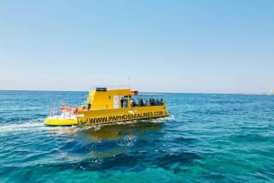 Paphos: 2-Hour Swimming Cruise with Turtle Watching & Drinks